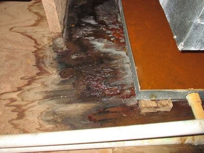About Dry Path Restoration - water damage restoration experts in Naperville